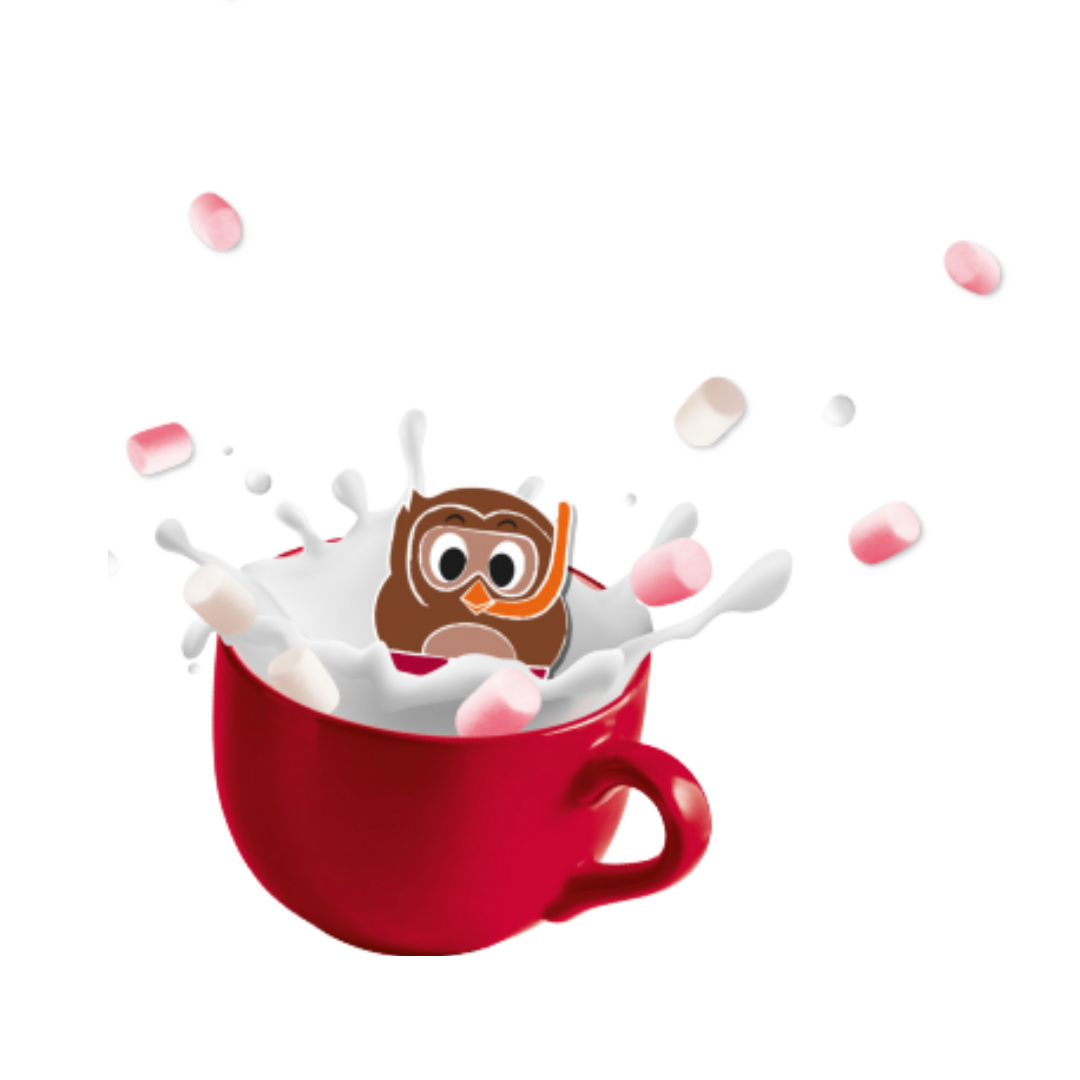 Chocolate bombs - Uiltje