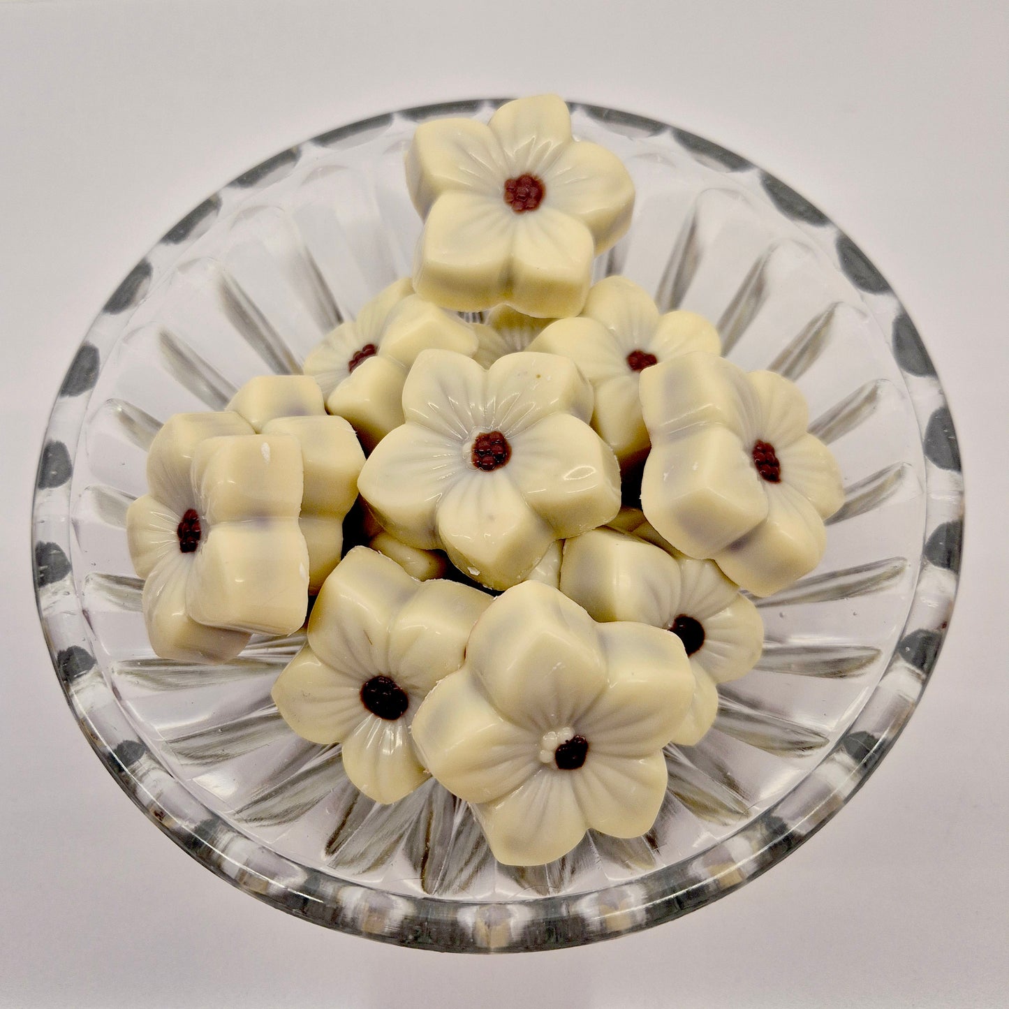 Praline - Viooltje wit gevuld met praliné