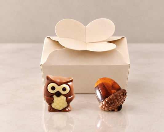 Doosje met 2 pralines