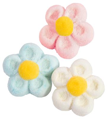 Kleurrijk bloemen assortiment Mellow